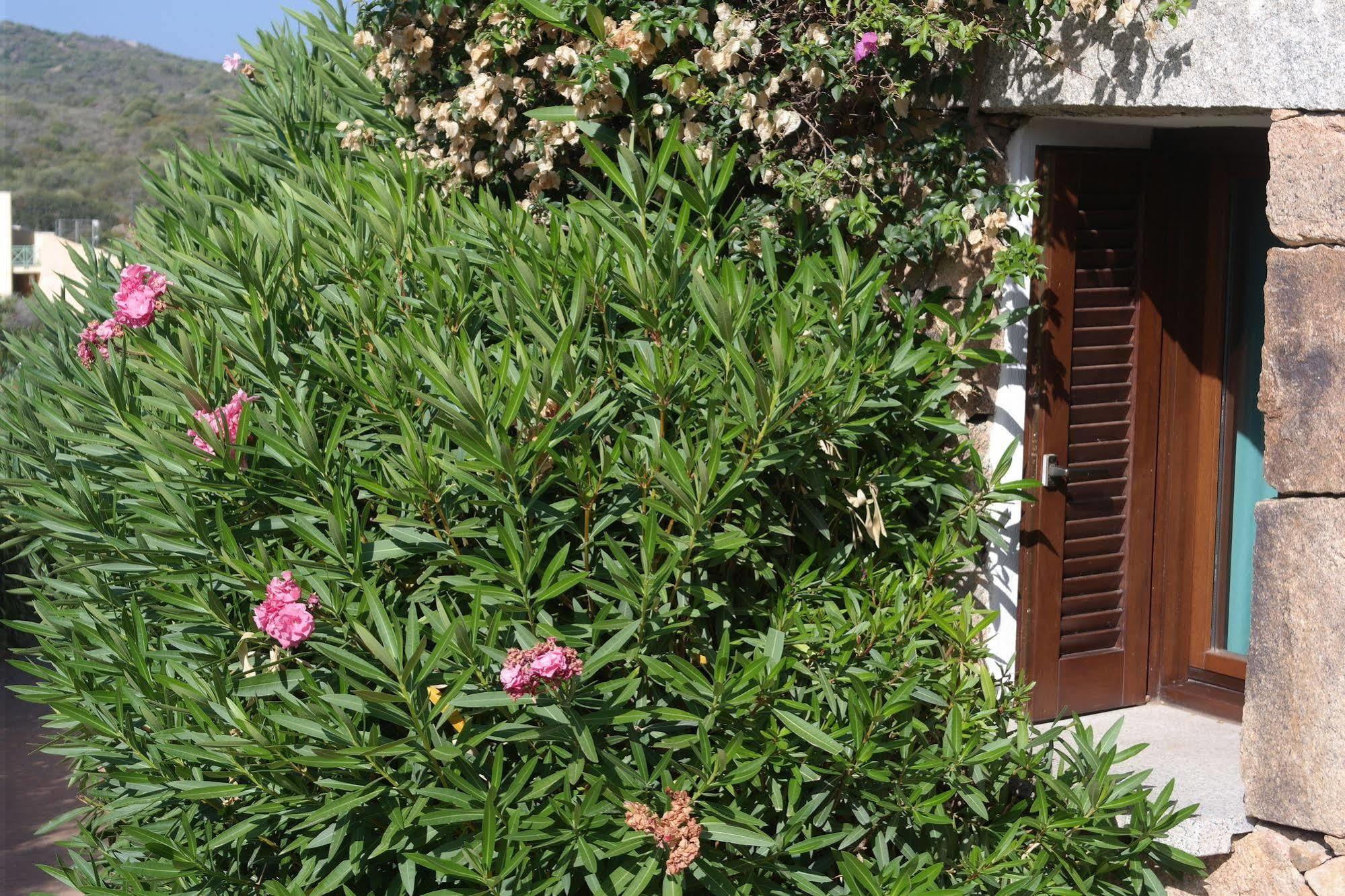 Sardinia Blu Residence Golfo Aranci Exteriér fotografie